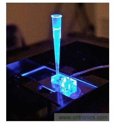 加州柏克萊大學所開發的“心臟單芯片”用以放置從成人干細胞產出的人類心臟組織，該系統有一天可望替代實驗動物應用于藥物安全篩檢